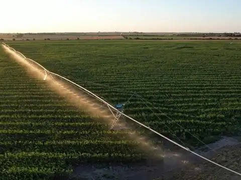 Campo a tranquera cerrada en Victoria