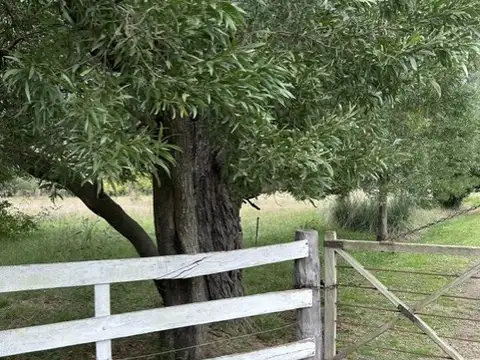 Alquilo Hermosa chacra de 9 ha