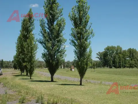 Terreno en Venta en Comarcas de Luján, USD 33.000