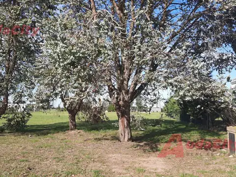 Terreno en Venta de 2000,0 m2