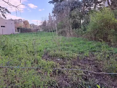 Terreno en venta - 1.200Mts2 - El Rodeo