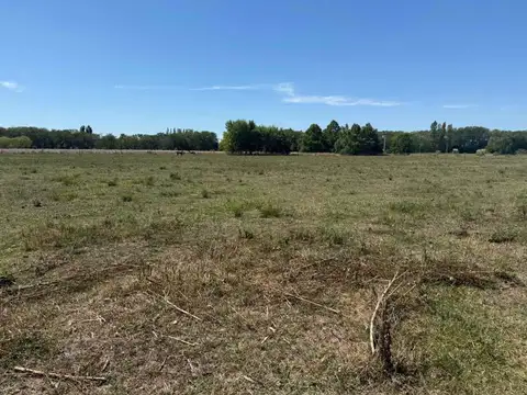 Terreno Chacra Venta Estancia Benquerencia Monte