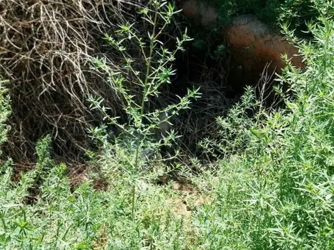 Lote Barrio Casa Soñada II - Videla Aranda y Urquiza, Maipú