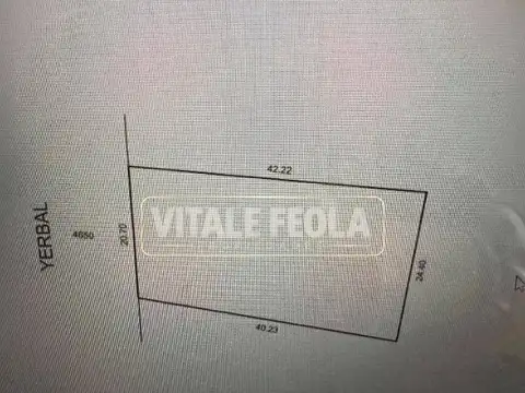 Yerbal 4600