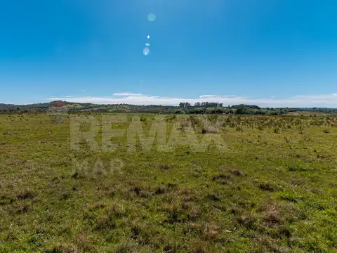 Campo en venta al norte de Garzón - Buen acceso
