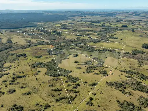 Campo en venta al norte de Garzón - Buen acceso