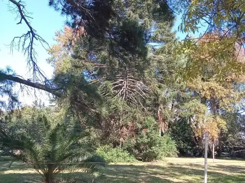 Terreno en Barrio Anahi