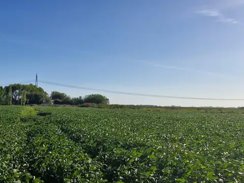Campo en Venta de 38  ha