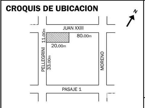 Juan XXIII y Pellegrini 100