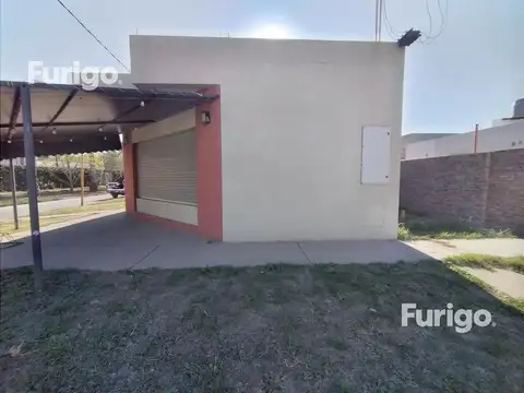 Juan XXIII y Pellegrini 100