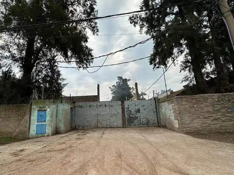 Av de Mayo al 2000