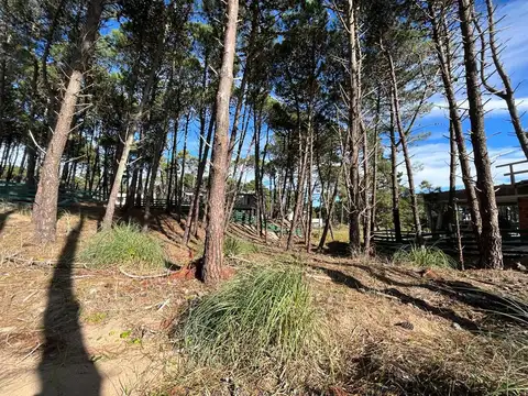 Terreno en Venta de 736,0 m2