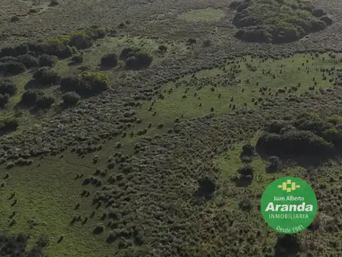 Campo en Venta de 539  ha
