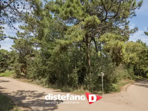 Terreno - Venta - Argentina, CARILO