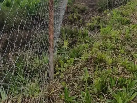 Terreno en Venta de 10000,0 m2