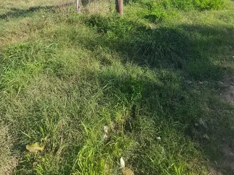 Lotes con mejoras, acepta vehículo