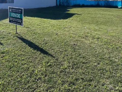 LOTE - COMARCA DE ALLENDE