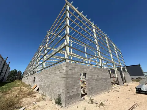 Puente del Inca al 2400