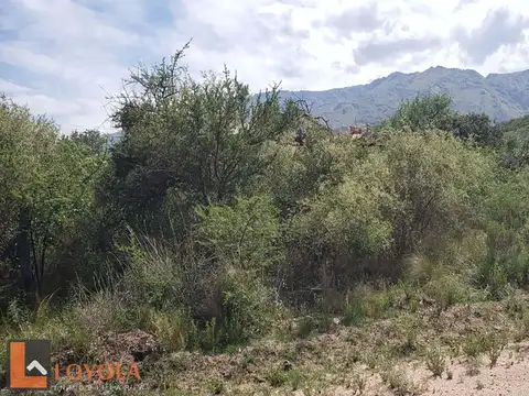 Terreno en Venta de 490,0 m2