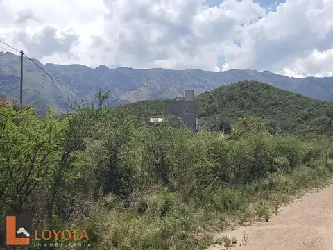 Ejercito De Los Andes