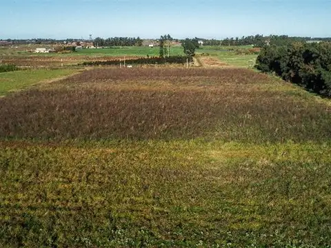 3 Ha con Potencial  sobre Cno. Manuel Flores