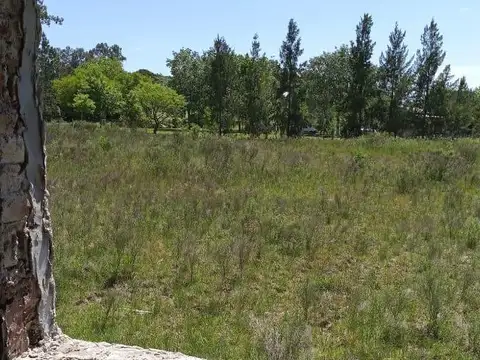 Terreno en venta - 21.500Mts2 - Arturo Seguí, La Plata