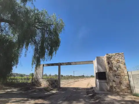 Terreno en Venta en Rivadavia, USD 25.000