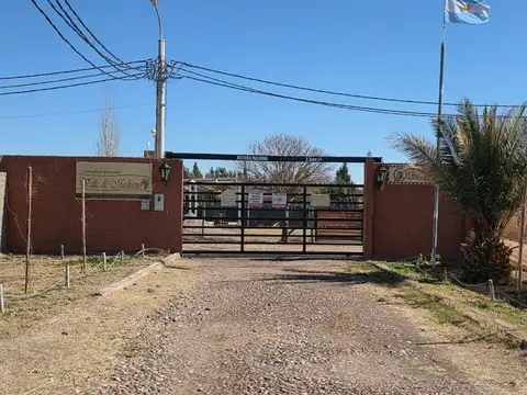 La legua