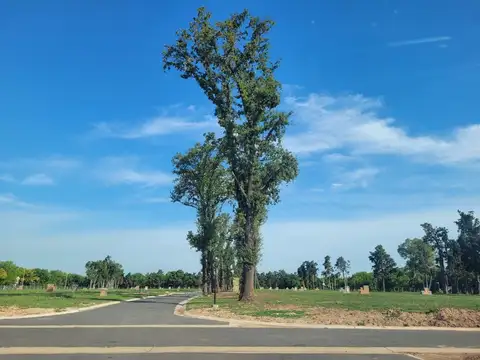 VENTA LOTE INTERNO BARRIO LA ESTELA