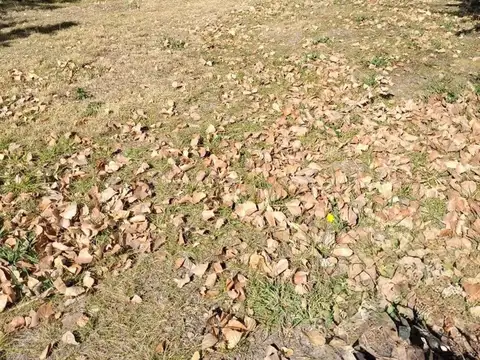 Casa en Alquiler El Salto Potrerillos Mendoza
