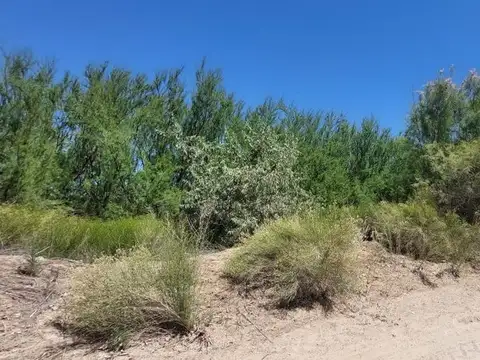 Venta de Lote para desarrollar 200 terrenos!