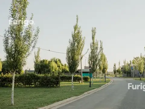 Barrio Abierto Los Viñedos