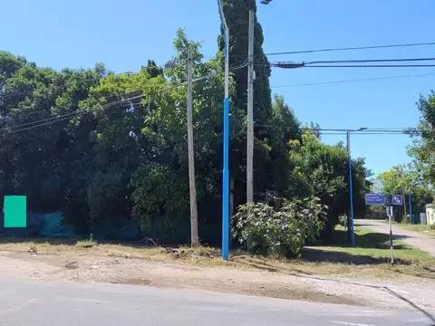 Echeverría 500