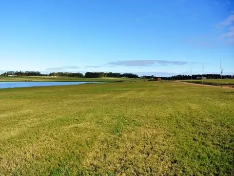 Terreno en Venta 50  mts Frente