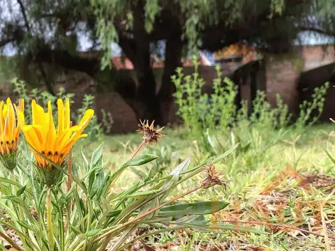 Terreno en Cipolletti