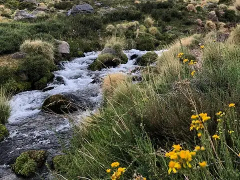 Campo en venta - 5.545.000Mts2 - Mendoza