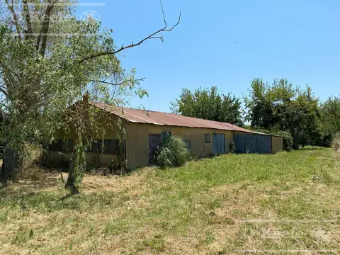 Chacra en Abasto 2 Has