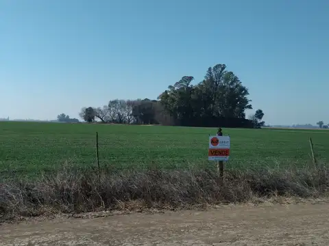 Campo en Venta Agrícola