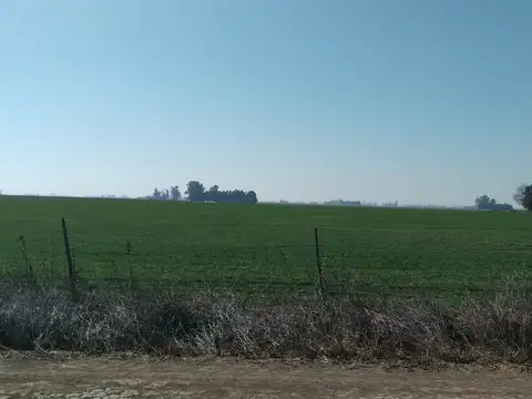 CAMPO AGRÍCOLA A LA VENTA. 15 HAS ENTRE CASILDA Y LOS MOLINOS. ESCRITURA ÚNICA.