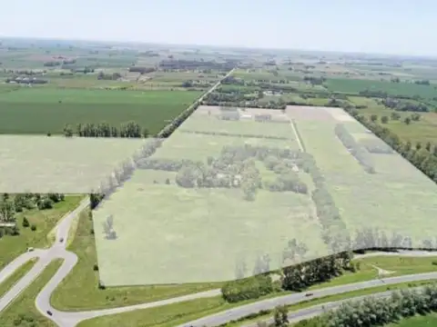 Terreno en venta -  120 Hectáreas - San Andrés de GIles