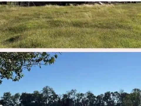 CAMPO EN CHIVILCOY