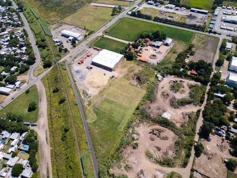 Silvestre Begnis 900