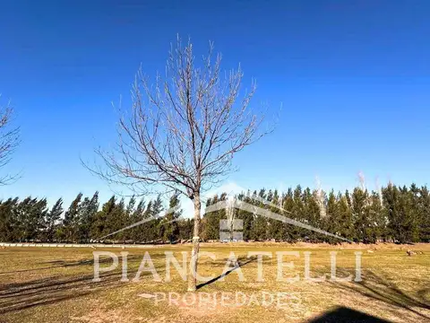 LOTE EN VENTA, EN TERRAVISTA, EXCELENTE UBICACION