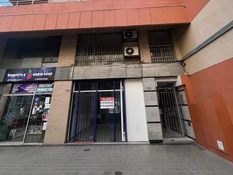 san jeronimo al 300