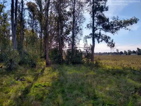 10 Hectáreas a 200 mt de la Nueva Autopista (Buen Ayre)