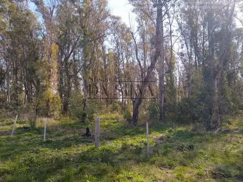 10 Hectáreas a 200 mt de la Nueva Autopista (Buen Ayre)
