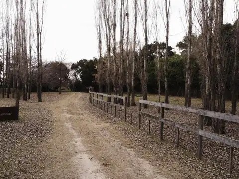 Villa Ruiz - Ruta Provincial N°2