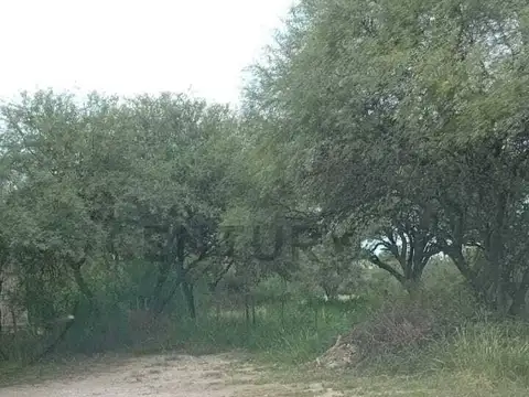Av Marcos Lopez, San Lorenzo