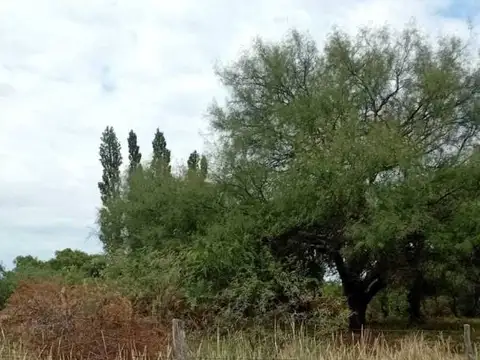 Terreno en Venta de 1000,0 m2