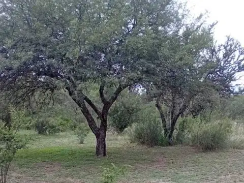 Terreno en Venta de 1000,0 m2